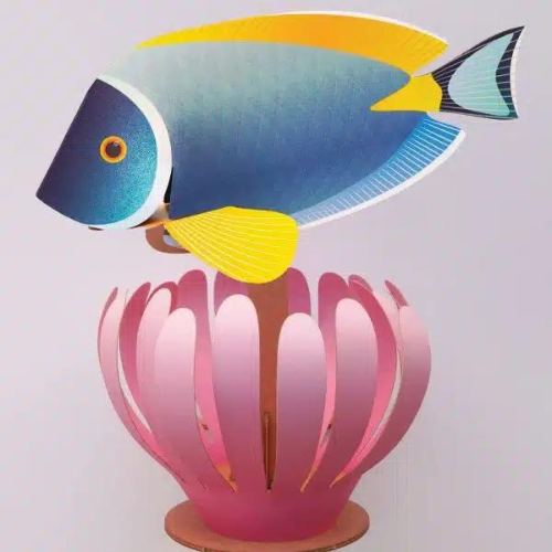 Assembli DIY Coral Reef collectie witborst doktersvis